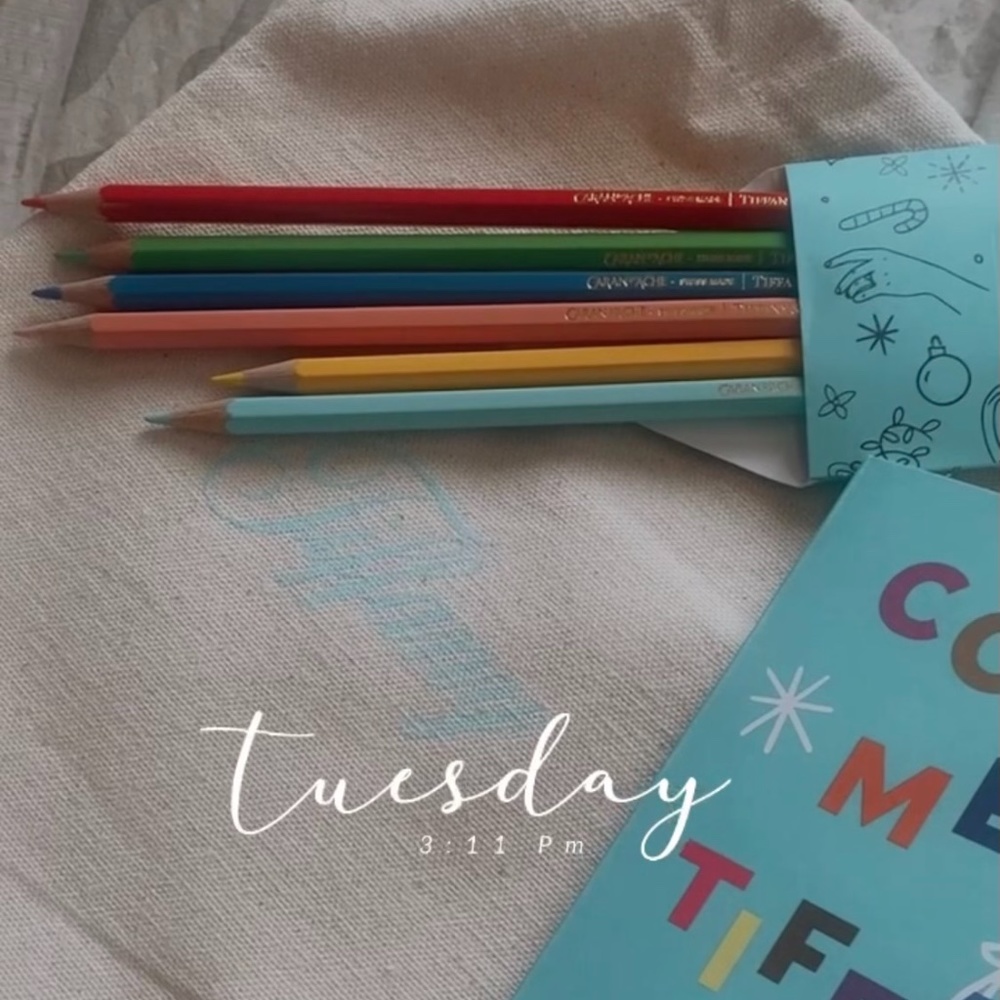 Authentic Tiffanys Canvas Jaw String Coloring Set (Bag ONLY)